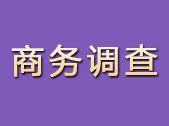 白沙商务调查